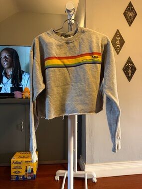 Brandy Melville Gray Cropped Sweatshirt with Rainbow Stripe